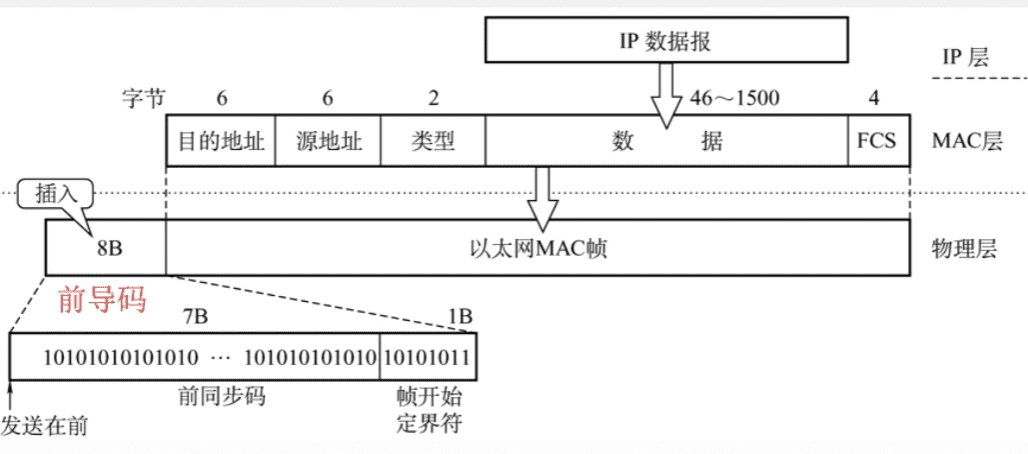 前导码_compressed.png